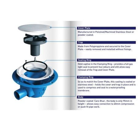 Caroflow LoLine Shower...