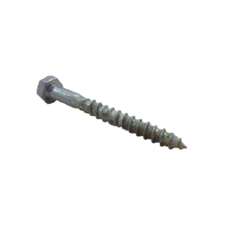 GC Cast Iron Coach Screw