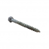 GC Cast Iron Coach Screw