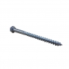 GC Cast Iron Coach Screw